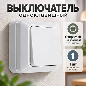 Выключатель одноклавишный, открытый монтаж 10/200