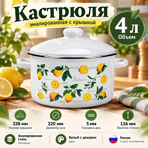 Кастрюля 4,0 л эмалир. с крышкой, с декором, Магнитогорск, 01-Б1614/4, 1/4