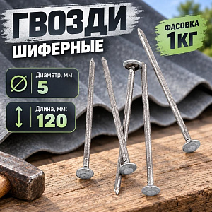 Гвозди шиферные 5,0*120, фасов. 1кг, 1/10