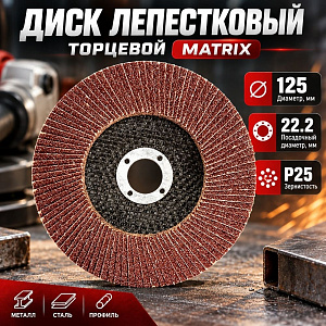 Диск лепестковый торцевой 125*22 Р24 МATRIХ, 10/160