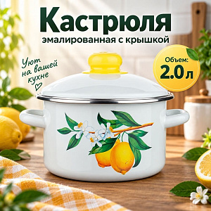 Кастрюля 2,0 л эмалир. с крышкой Лимоны, Магнитогорск, 01-1610/4, 1/8