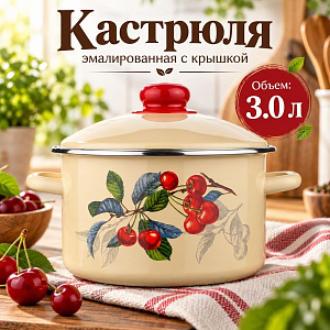 Кастрюля 3,0 л эмалир. с крышкой, Магнитогорск, 21-Б1612/4, 1/4