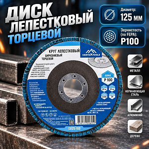 Диск лепестковый торцевой 125*22 Р100 циркониевый, 10/20/200