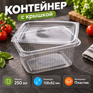 Контейнер с крышкой 250мл, 108х82мм, прямоугольный, 100/1000