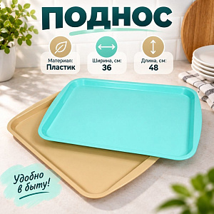 Поднос пластм прямоугольный 48х36см ИНТЕХПРОМ НК, 1/10